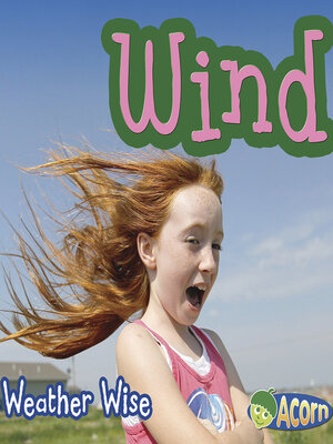 cover image of Wind